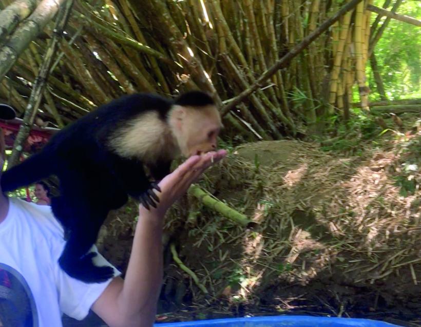 Locul unde veselia e un obicei 18977448