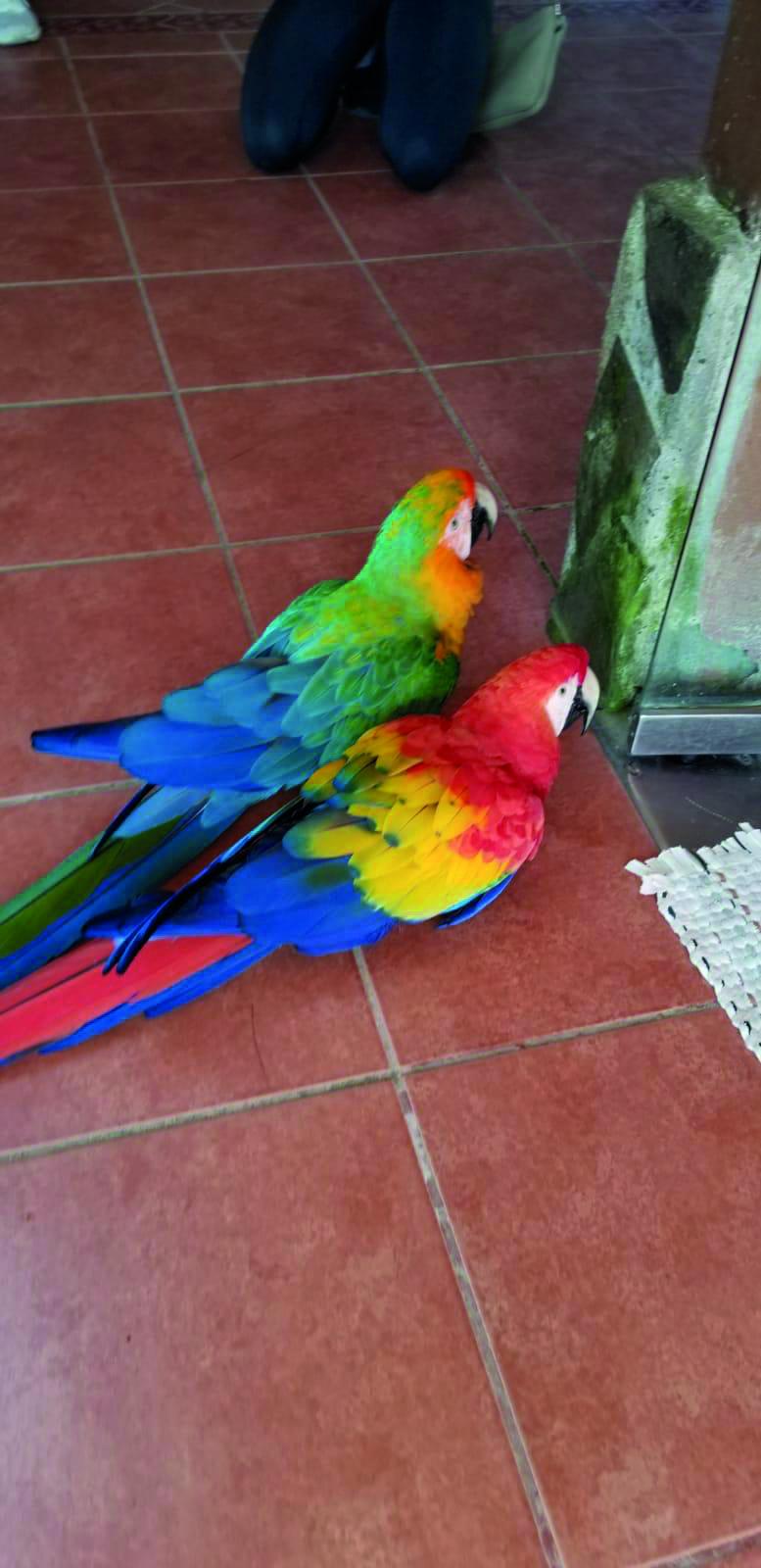 Locul unde veselia e un obicei 18977449