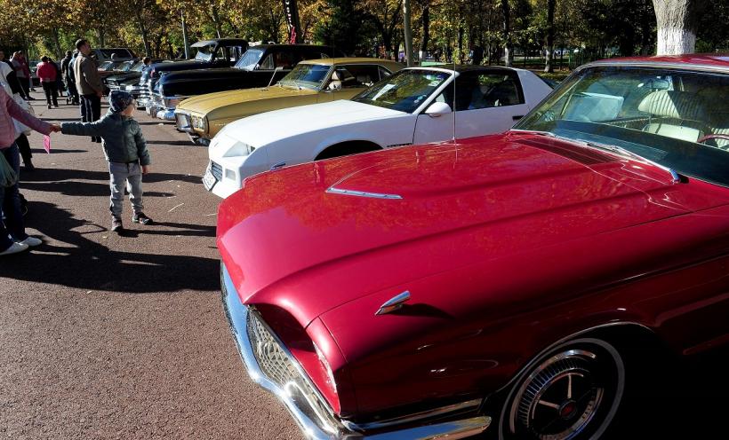 Retro Parada Toamnei 2025  18977710