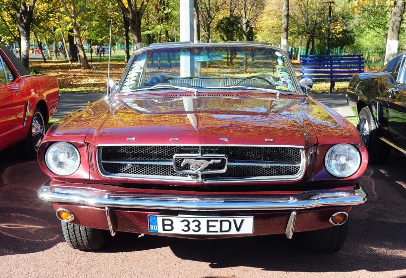 Retro Parada Toamnei 2025  18977712