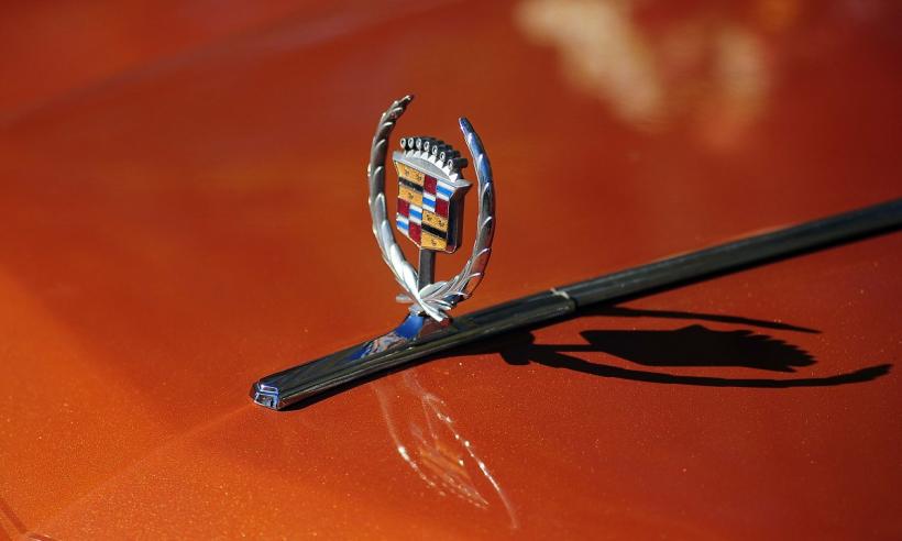 Retro Parada Toamnei 2025  18977729