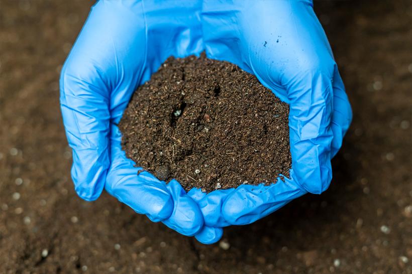 Analiza solului: de ce e momentul perfect pentru a o face iarna