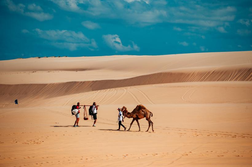 Echipele luptă pentru primul bilet către Coreea de Sud, diseară, de la 20.30, la Asia Express – Drumul Eroilor. Emisiunea a fost lider detașat de audiență 18978023