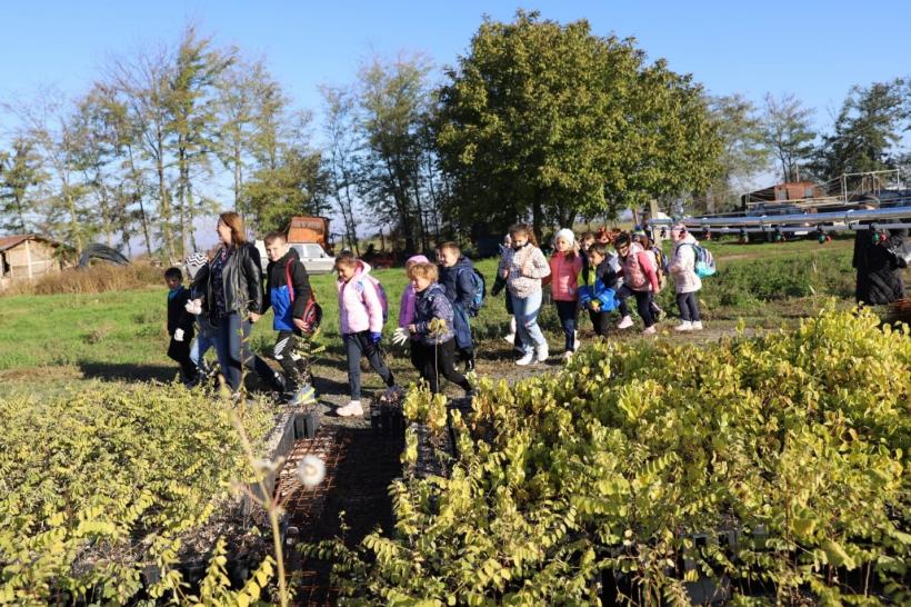 Încă un pas către înlocuirea directorilor de școli cu manageri: nu au timp să se ocupe de toate proiectele necesare