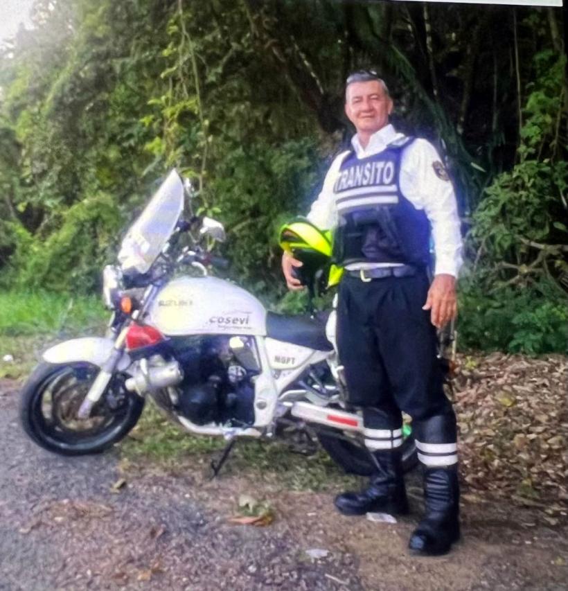 Discreția ordinii într-un loc viu 18978670