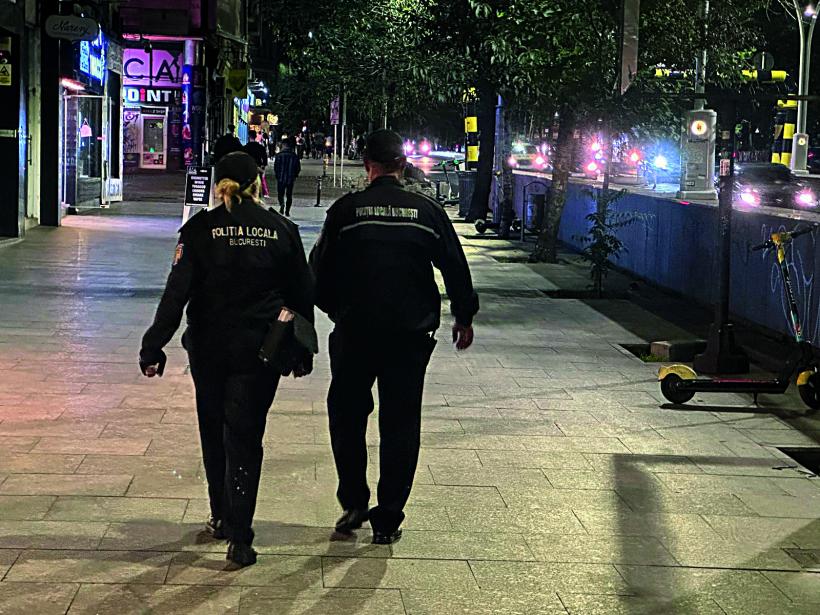 Discreția ordinii într-un loc viu 18978672