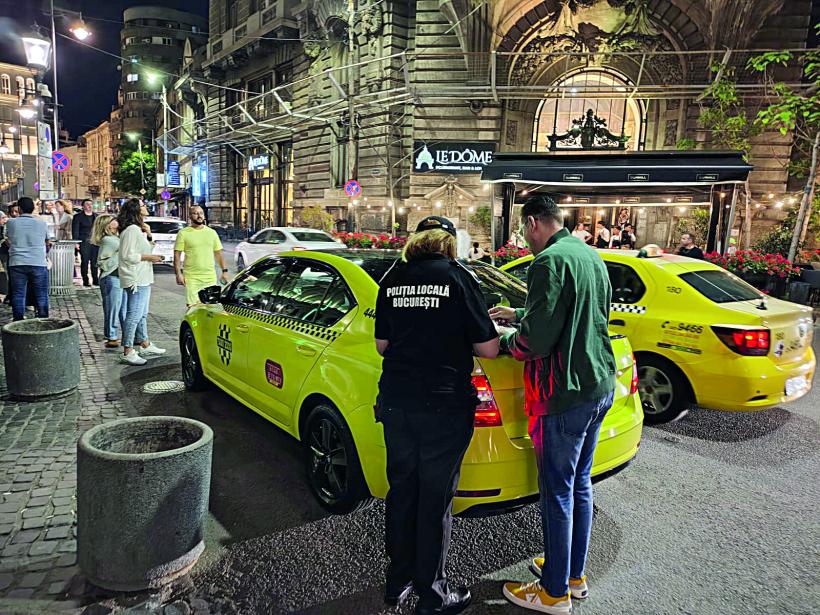 Discreția ordinii într-un loc viu 18978673