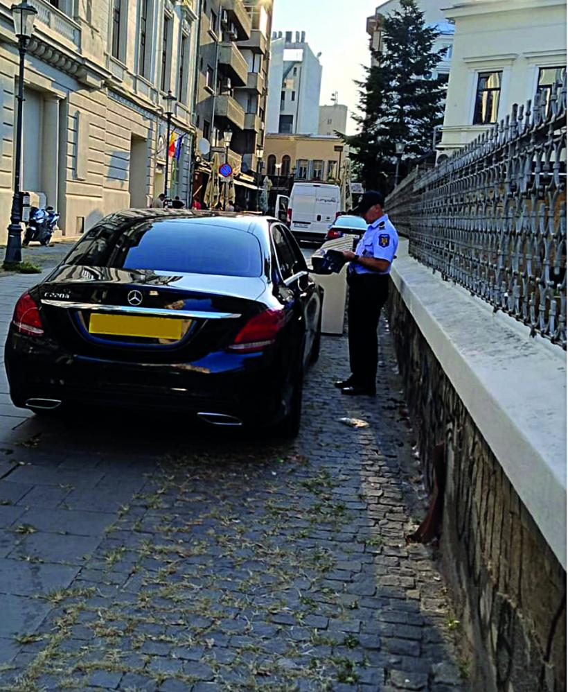 Discreția ordinii într-un loc viu 18978674