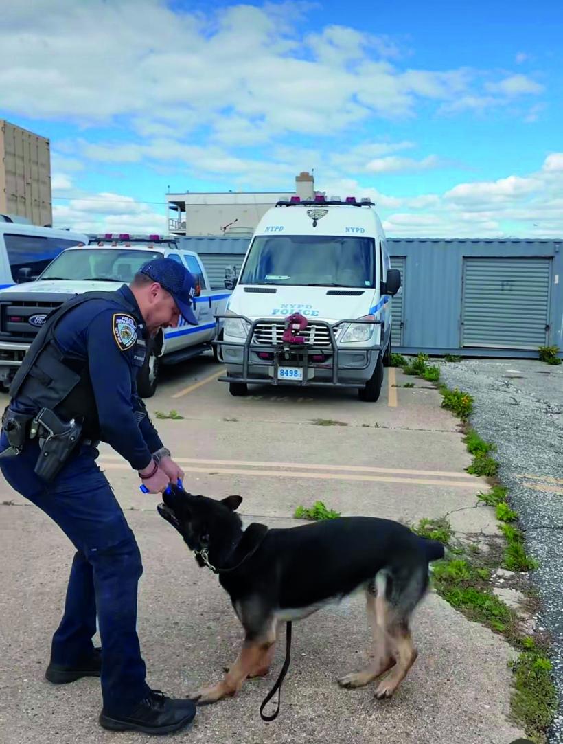 Discreția ordinii într-un loc viu 18978675