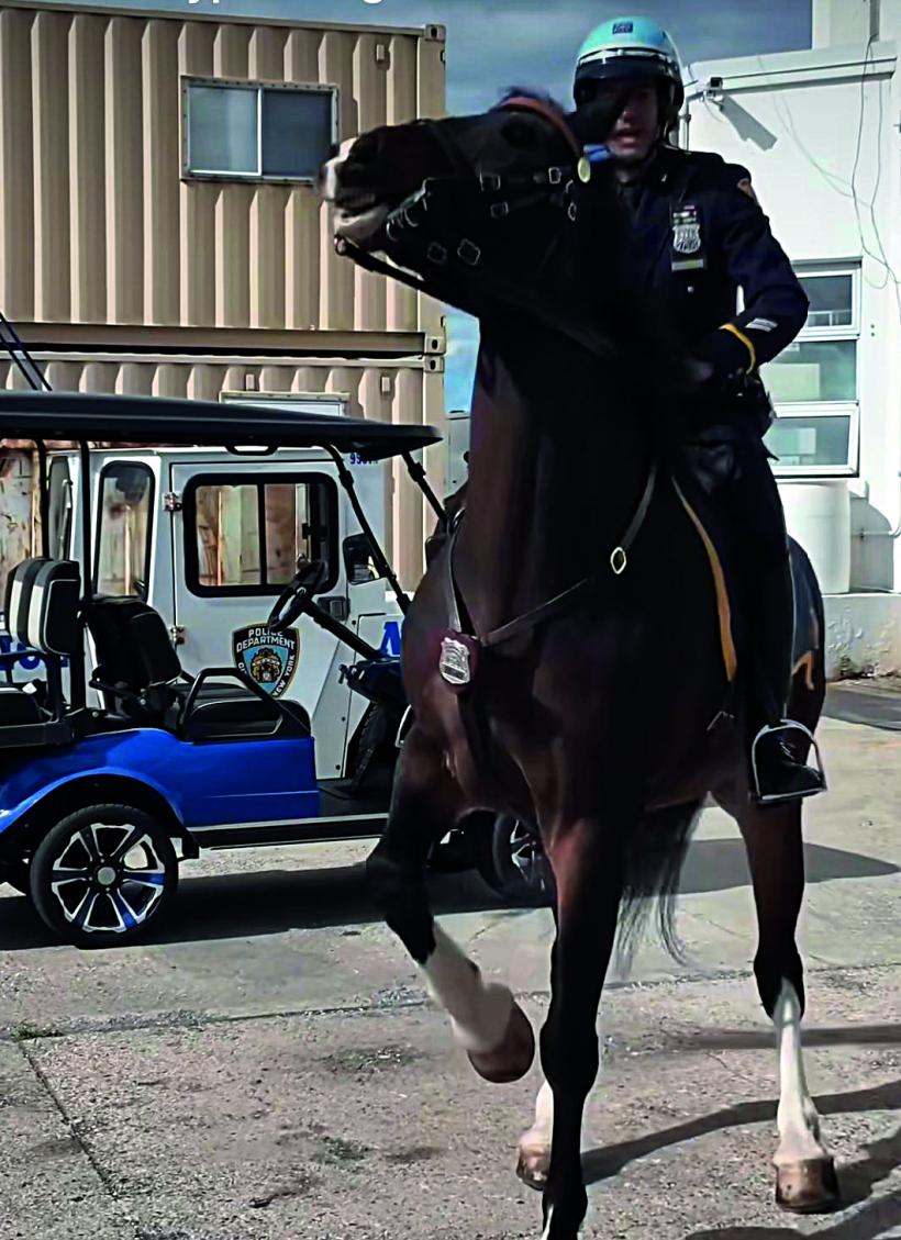 Discreția ordinii într-un loc viu 18978676