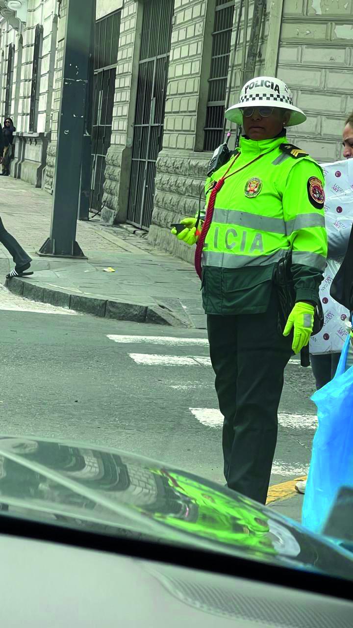 Discreția ordinii într-un loc viu 18978678