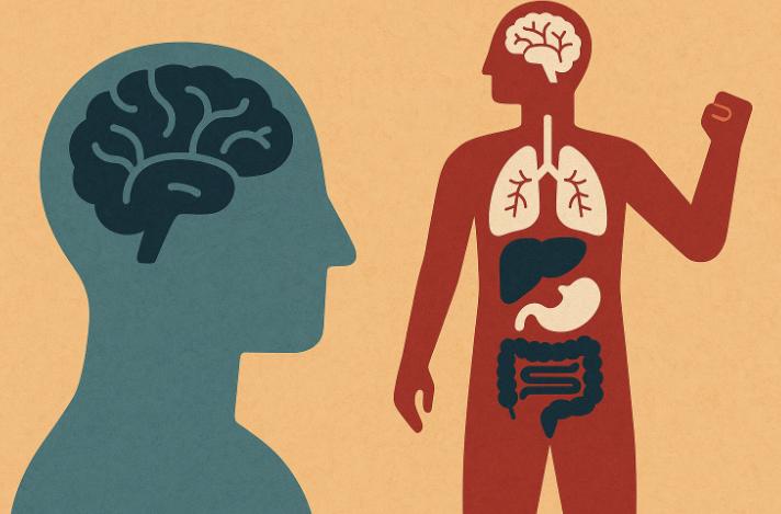 Creierul are nevoie de 200 de milisecunde pentru a alege mâncarea