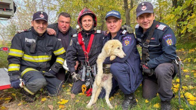 Câine salvat de pompieri după o cădere de 15 metri într-un puț