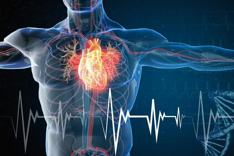 300.000 de inimi oprite de poluare. Care sunt cele mai mari riscuri 18979352