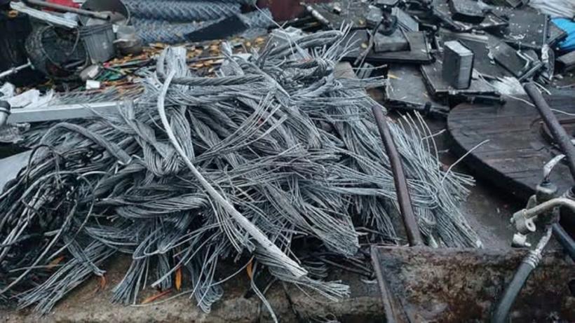 Intervenții ale Gărzii de Mediu, Poliției și Jandarmeriei în localitățile Bălteni și Dragodana 18979446