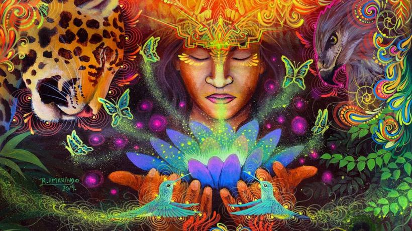 Ayahuasca, decoctul care purifică mintea
