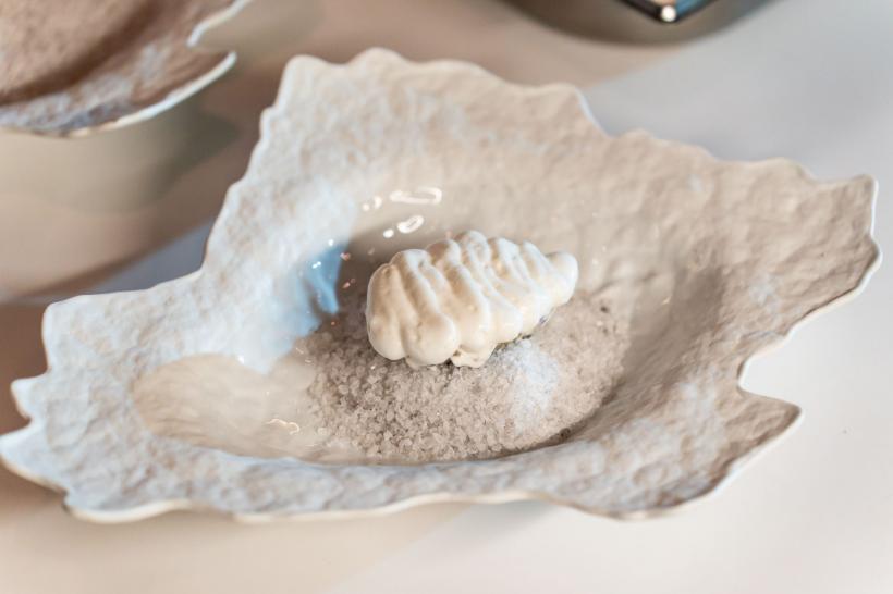 Spectacol culinar impresionant: Chef Richard Abou Zaki a deschis  pop-up-ul Retroscena cu o seară memorabilă la Domeniul Știrbey 18979695