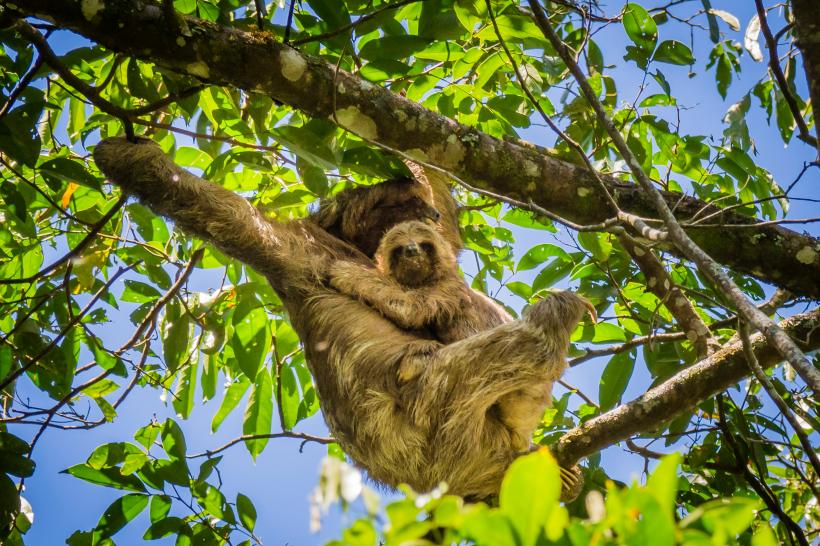 Din Panama până în Nicaragua, lumea se scumpește, dar oamenii rămân calzi 18979736