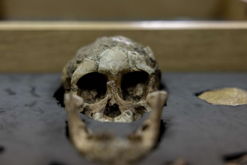 Prima dovadă științifică a existenței ciumei negre în Edinburgh, descoperită pe un schelet