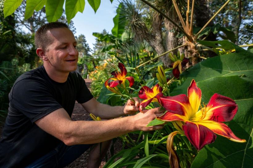 Cinci zodii norocoase în săptămâna 10–16 noiembrie 2025: Luna în Fecioară și Marte în Săgetător aduc succes, dragoste și noi începuturi