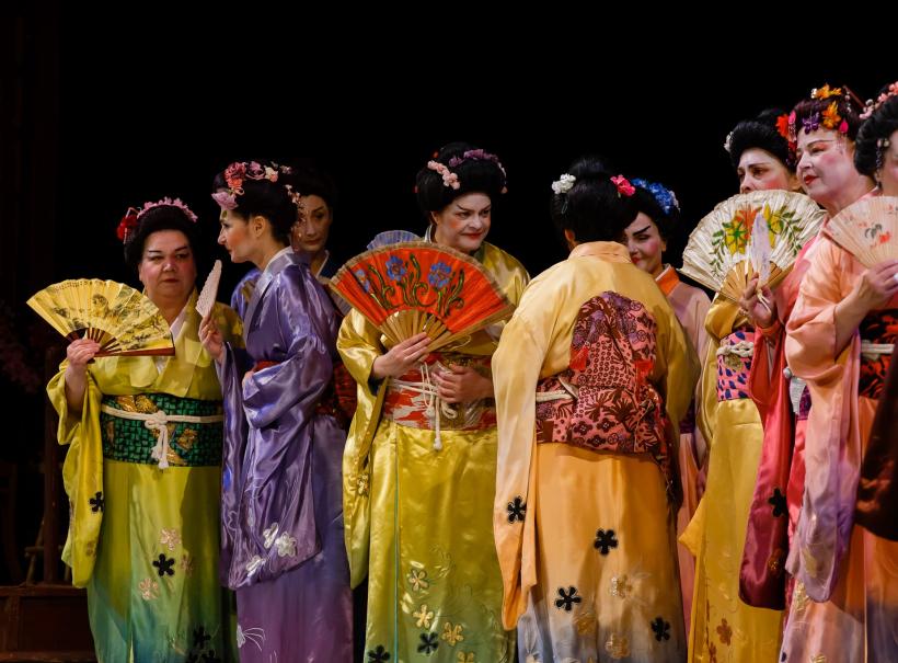 D’ale carnavalului, Tosca, Nabucco, Romeo și Julieta, Madama Butterfly, pe scena Operei Naționale București
