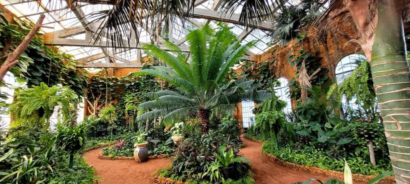 El Alamein, noua destinație-surpriză a Egiptului  18980135