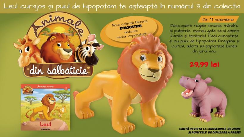Leul – Regele savanei, eroul din numărul 3 al colecției „Animale din Sălbăticie”!