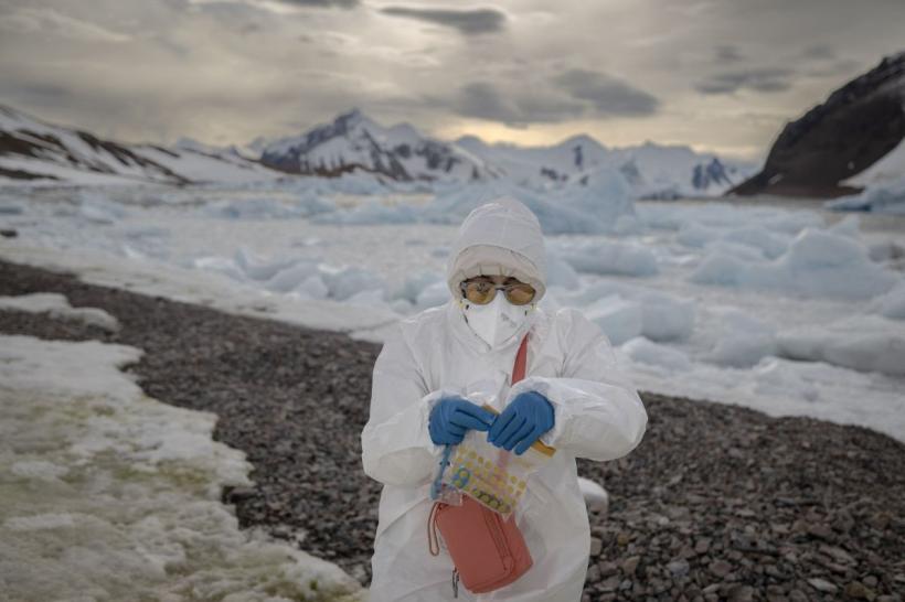 Vrei job în Antarctica? Întâi trebuie să-ți scoți apendicele și molarii de minte