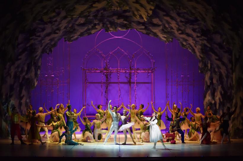 Spărgătorul de nuci, Callas – Oana Pellea, Don Giovanni și Povestirile lui Hoffmann, în a doua parte a lunii noiembrie pe scena Operei Naționale București 18981059