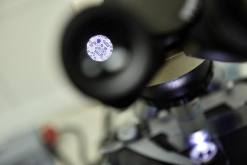 Un vierme mic tocmai a dezvăluit un mare secret despre cum să trăiești mai mult