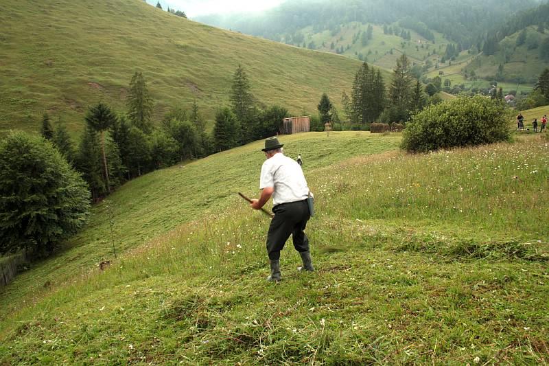 Programul „Viața la țară”: străinii, invitați la coasă, prașilă și muls oi