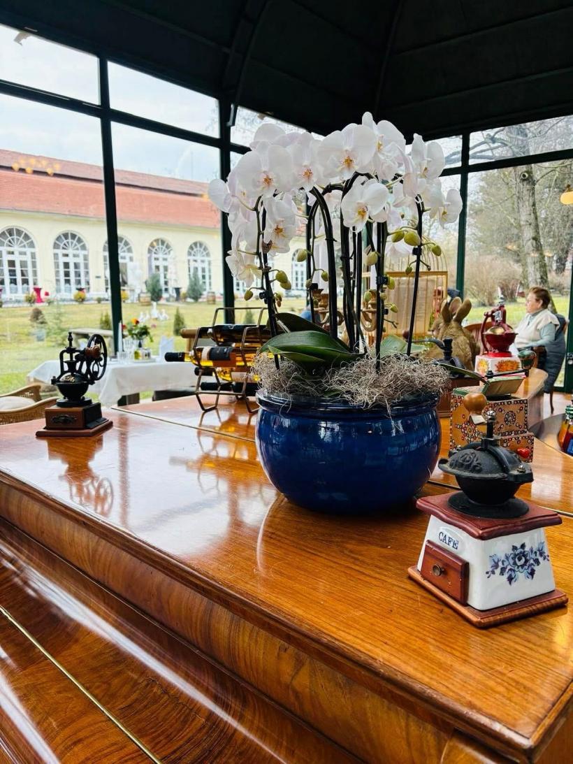 Oranjeria baronului de Brukenthal, preferata turiștilor străini care vizitează Sibiul 18981578