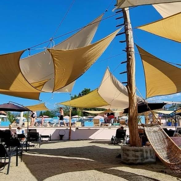 Oranjeria baronului de Brukenthal, preferata turiștilor străini care vizitează Sibiul 18981581