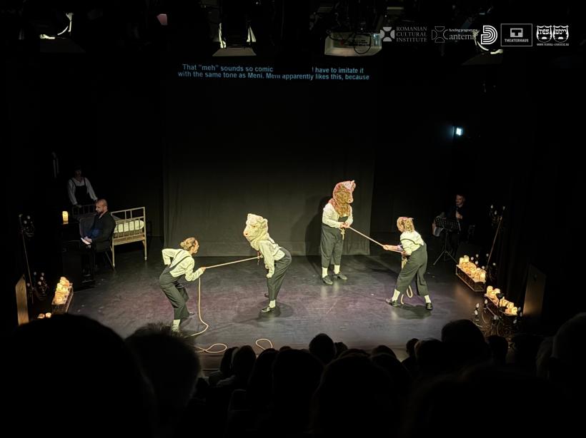 Cultura contează: 20 de proiecte remarcabile au traversat patru continente cu sprijinul ICR, prin Programul CANTEMIR 2025 18981893