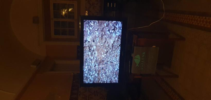 Cultura contează: 20 de proiecte remarcabile au traversat patru continente cu sprijinul ICR, prin Programul CANTEMIR 2025 18981895