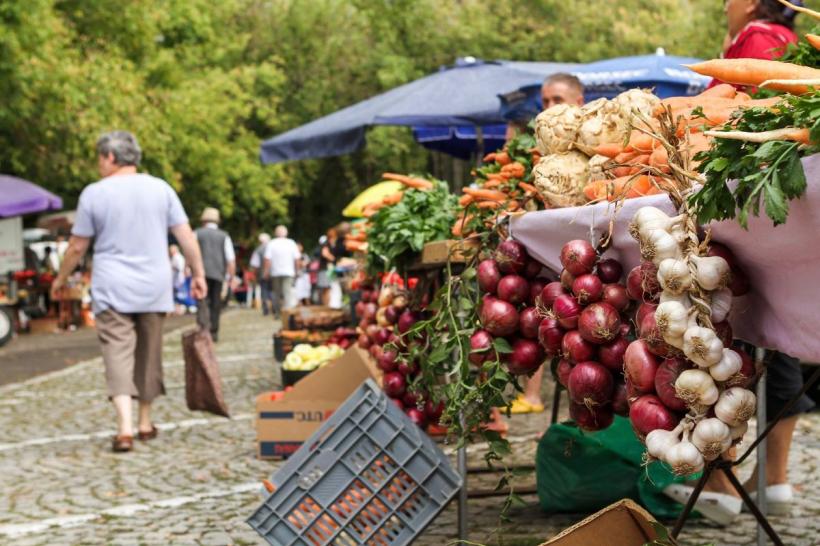Reguli noi pentru pie&#539;ele volante