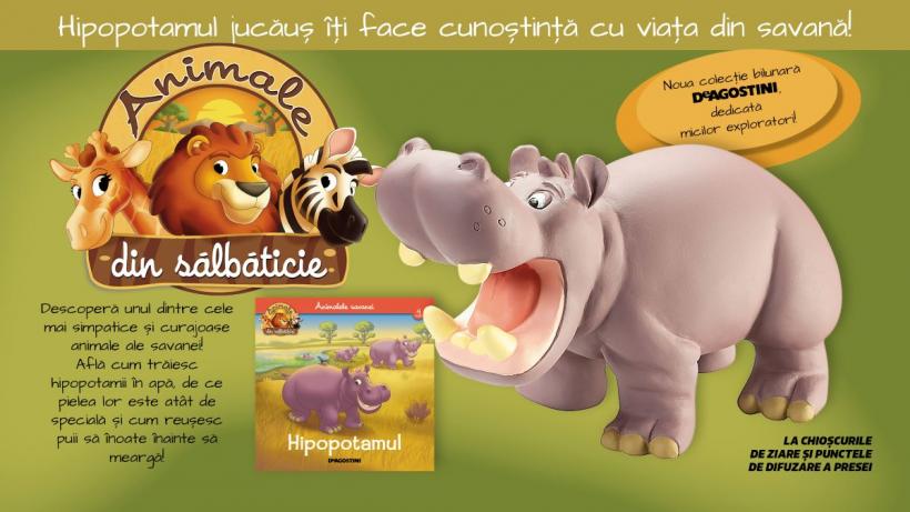 Descoperă lumea fascinantă a hipopotamului!