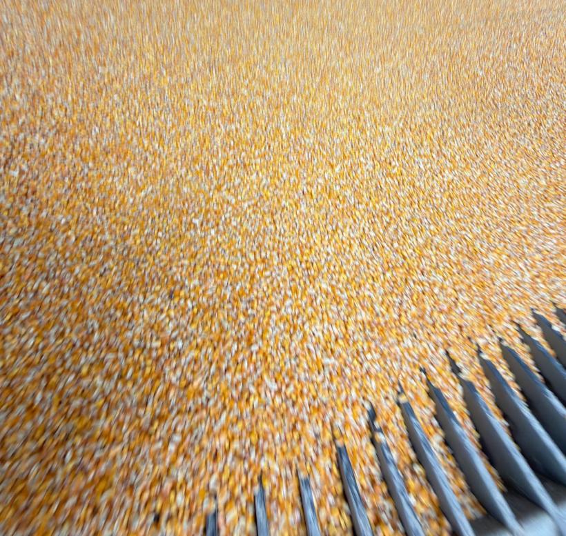 Grupul Carmistin relansează transportul feroviar de cereale, marcând o etapă nouă în strategia de reducere a poluării în industria alimentară 18982671