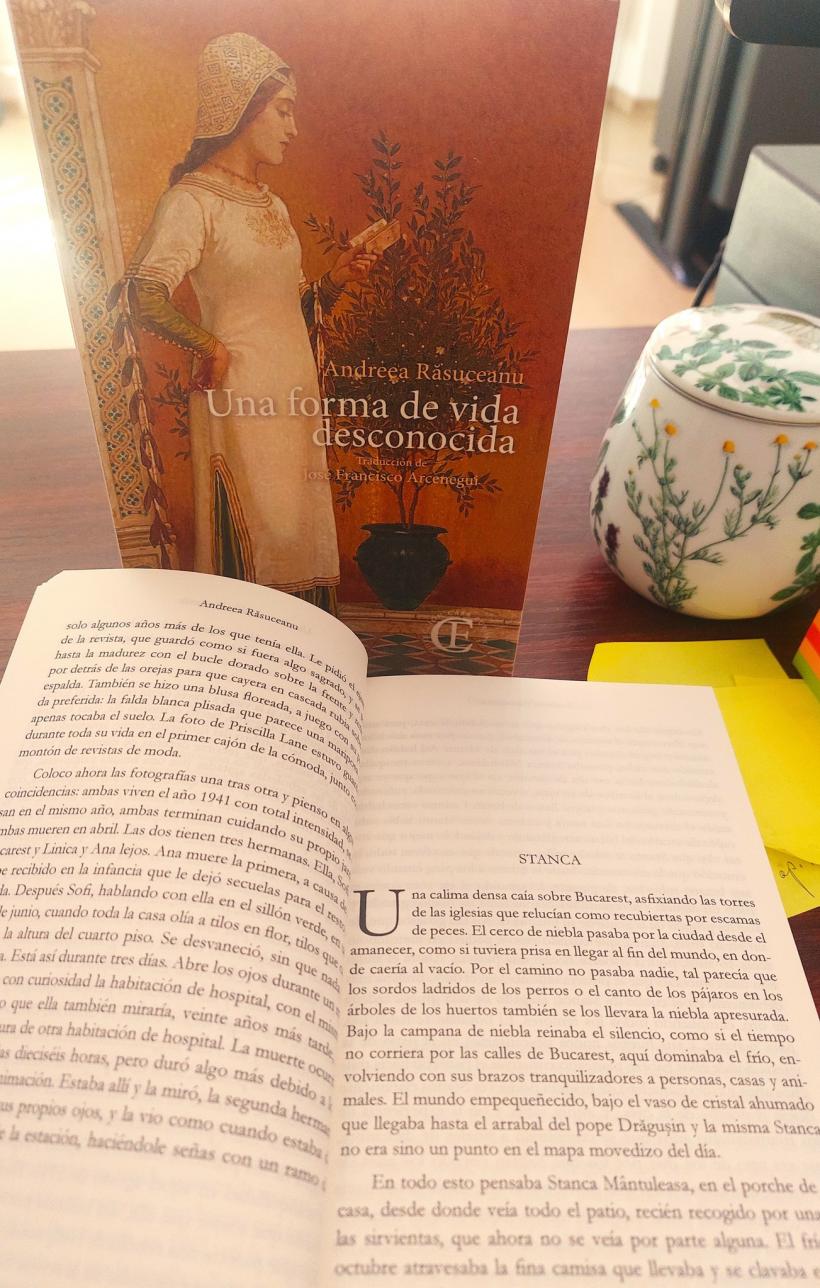 Andreea Răsuceanu: „Există în noi o permanentă frică de moarte, de necunoscut, de dispariție” 18982665