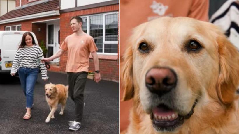 Povestea emoționantă a unui câine care și-a salvat stăpânul de la moarte