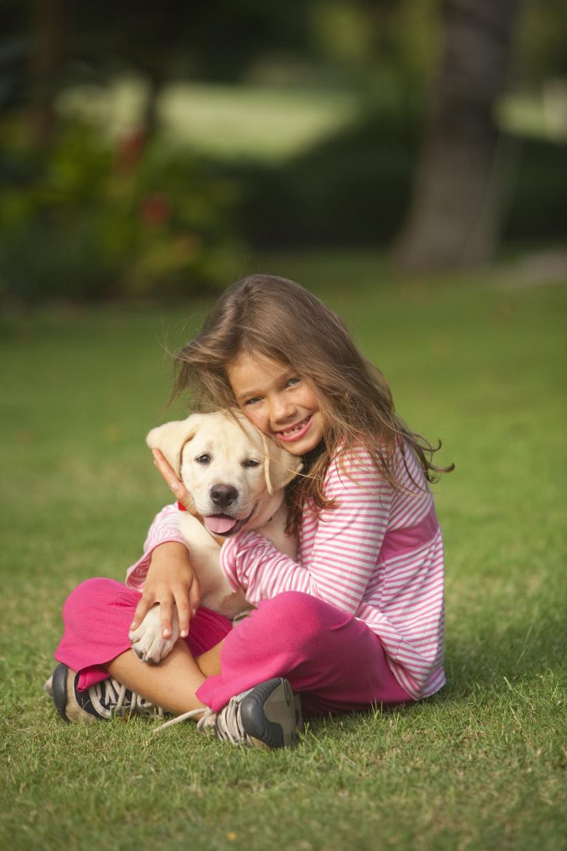 Legătură genetică surprinzătoare între oameni și Golden Retrieveri: 12 gene comune