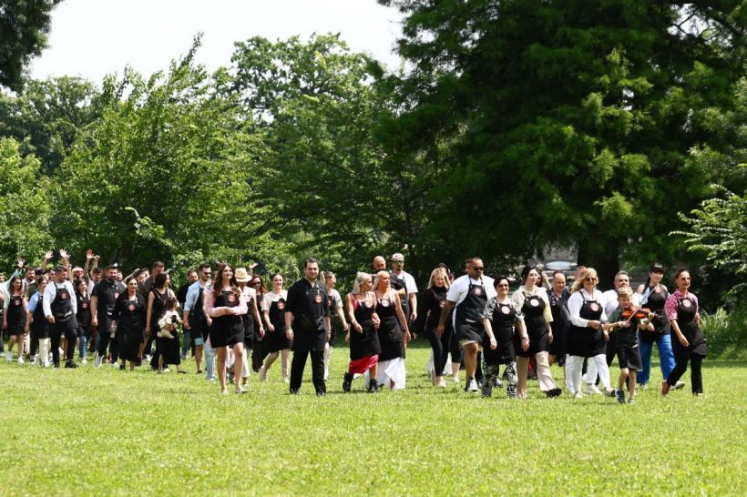 Chefi la cuțite, lider de audiență. Emoții uriașe în bootcamp-ul de ieri seară: Chefii și-au format echipele cu care intră în primul battle duminica aceasta 18984133