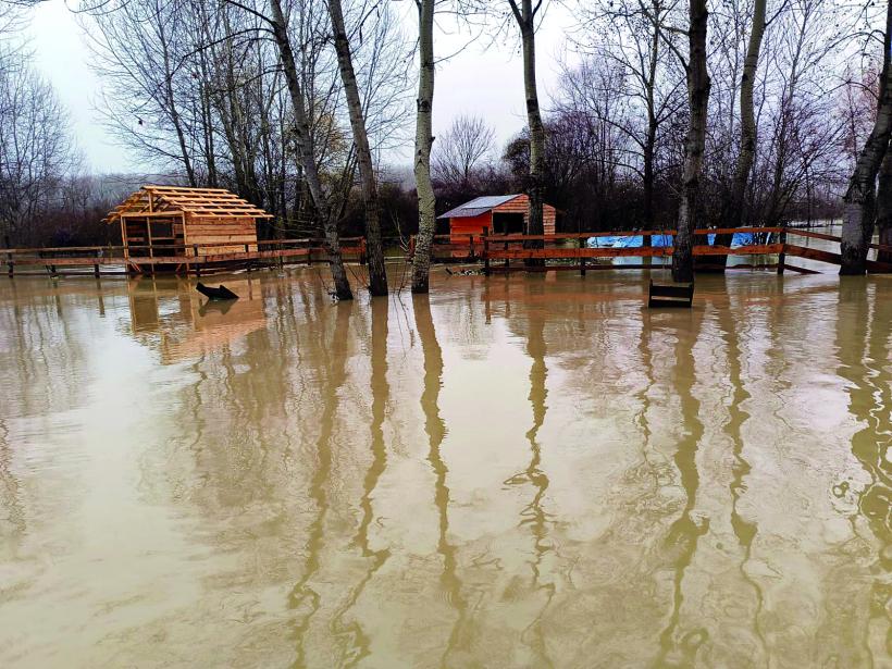 Acuzație gravă: comună inundată de Apele Române. Dezastru la Mogoșani, ignorat de autorități