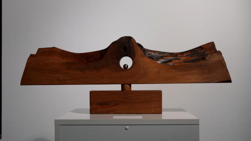 „Maitec 100” – Expoziție omagială în Ungaria 18983938