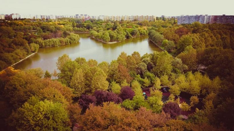 Noi defrișări în Sectorul 3. Locuitorii din Titan cer oprirea „măcelului” spațiilor verzi 18984220