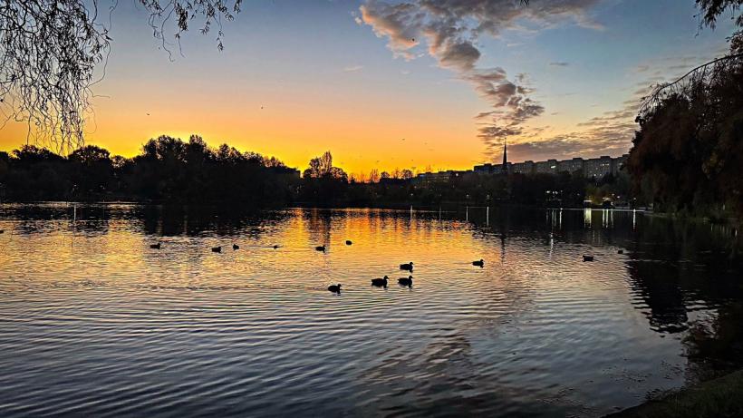 Noi defrișări în Sectorul 3. Locuitorii din Titan cer oprirea „măcelului” spațiilor verzi 18984221