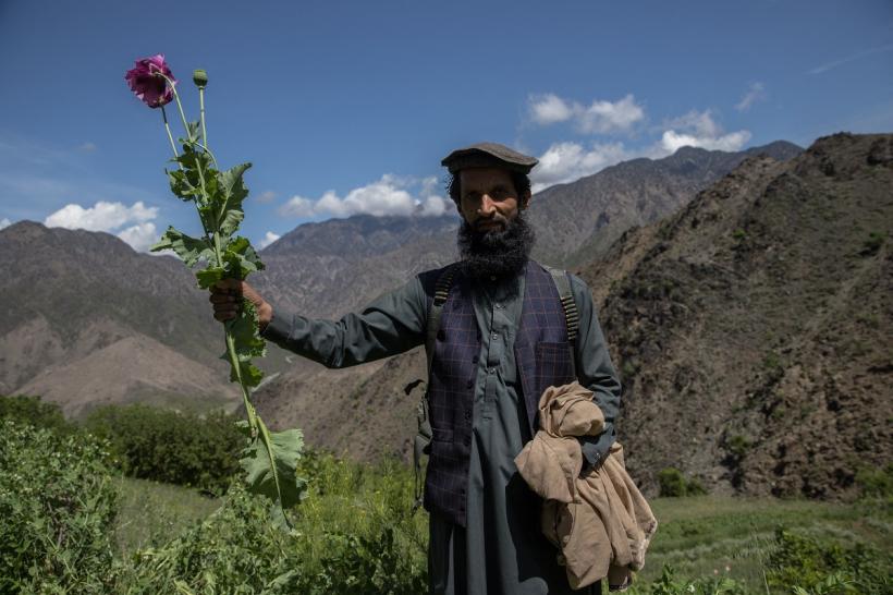 Țara care a atins cel mai ridicat nivel al cultivării opiului din ultimul deceniu, potrivit ONU