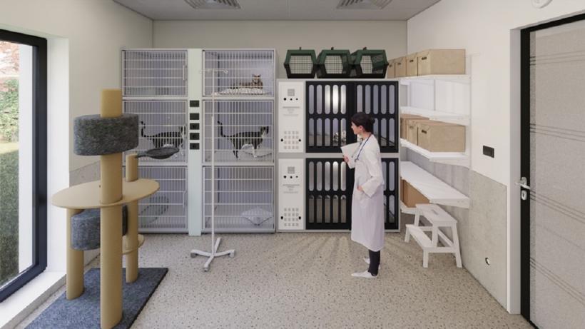 Eforturi pentru deschiderea primului spital social veterinar din România 18984730