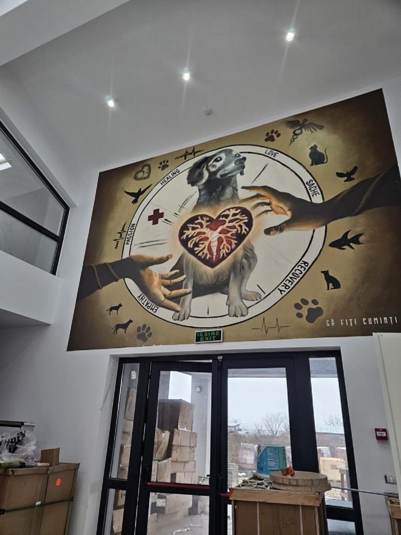 Eforturi pentru deschiderea primului spital social veterinar din România 18984732