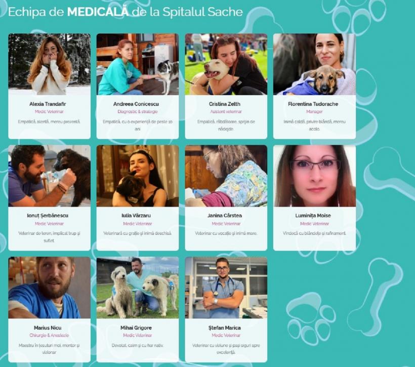 Eforturi pentru deschiderea primului spital social veterinar din România 18984734